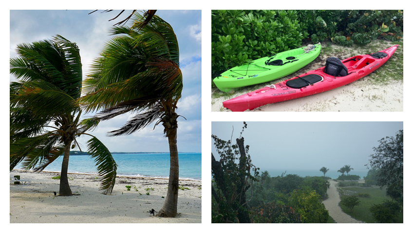 E893E67B-36B4-46BC-8E10-6AED55E65933