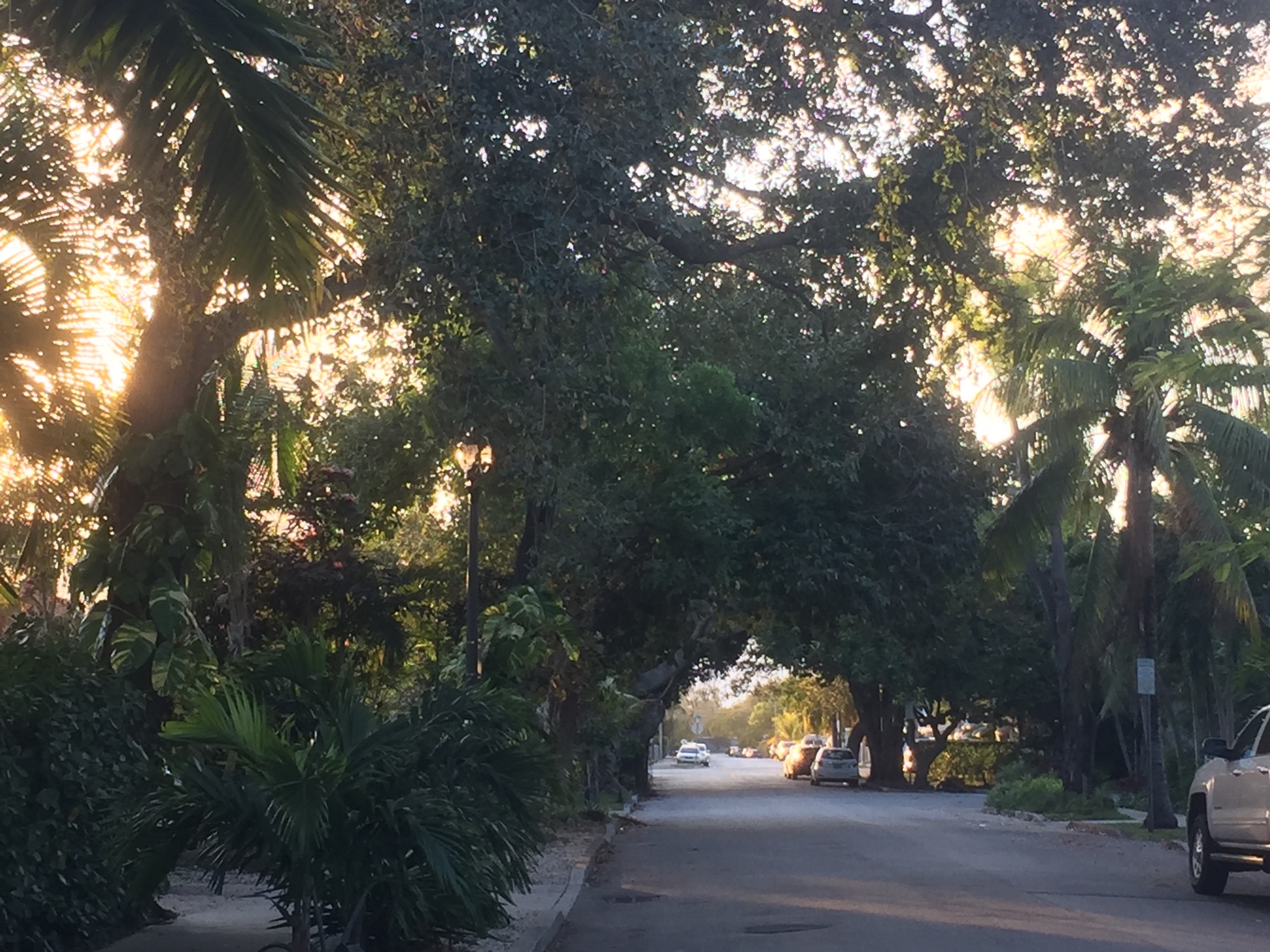 5605BE82-1892-427E-8E61-97E3173F6E53