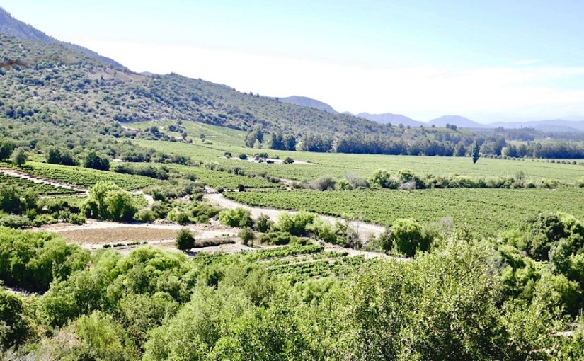 Chile – Valle Colchagua&nbsp;🇨🇱