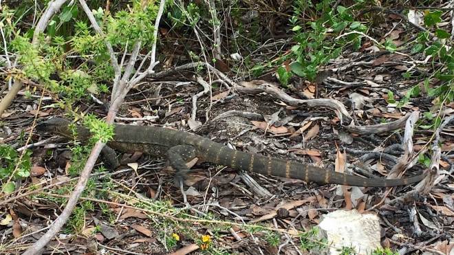 Kangaroo Island
