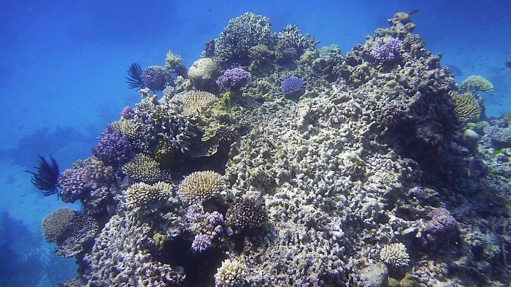 Great Barrier Reef