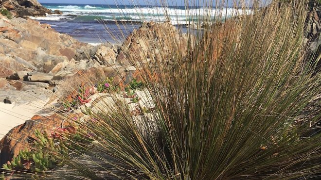Kangaroo Island