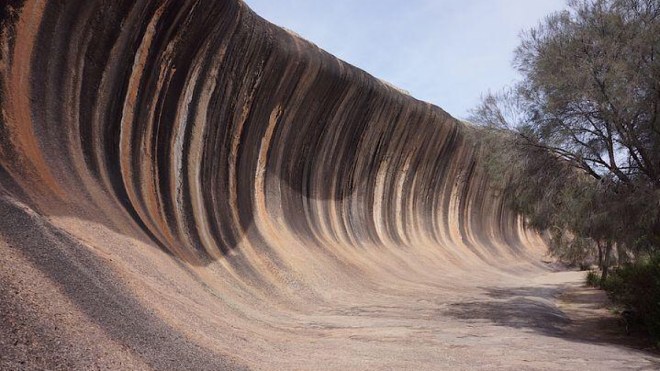 The Wave