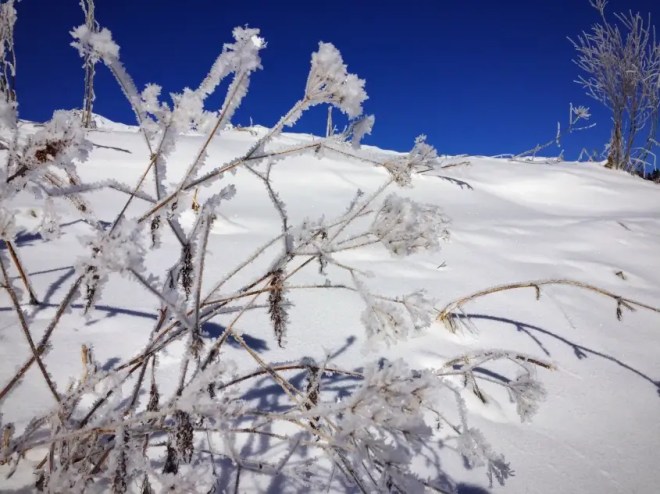 Engadin Winter Schnee