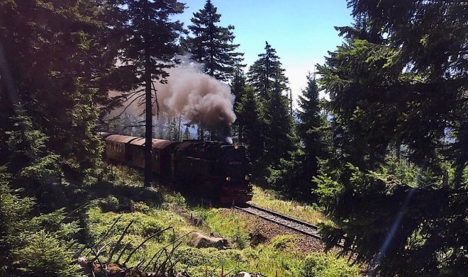 Wernigerode Dampflok