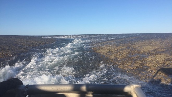 Montgomery Reef