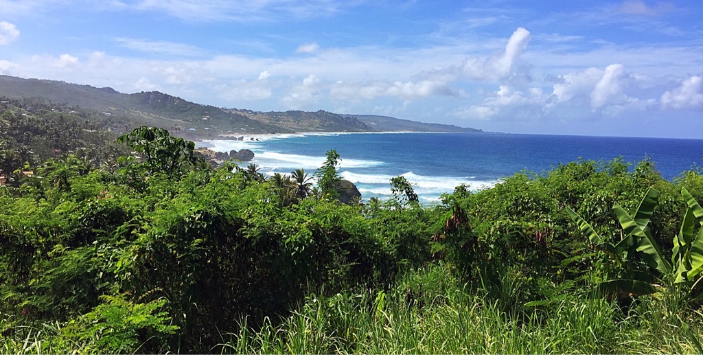 Barbados Bathsheba 2017