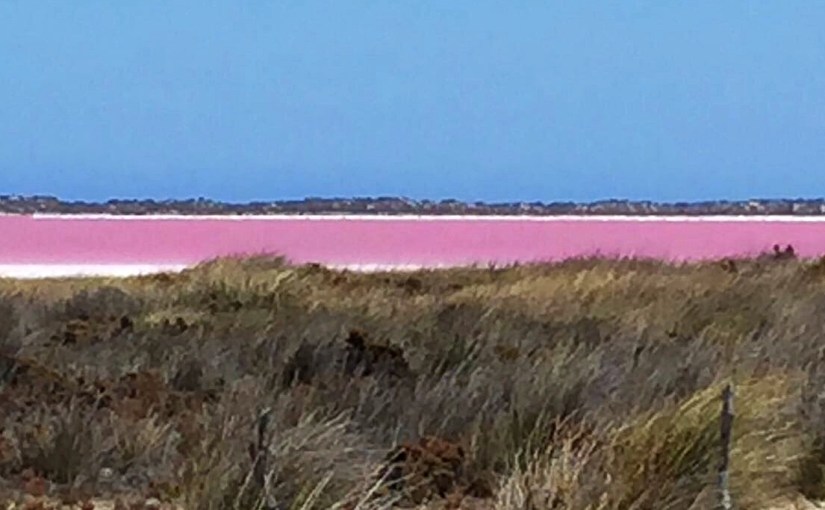 Pink Lake
