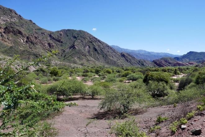 Argentina Ruta 68 von Cafayate nach Salta