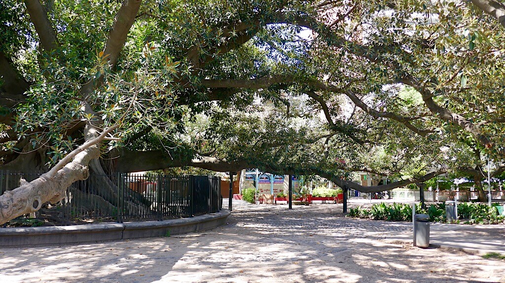 El cementerio de La Recoleta