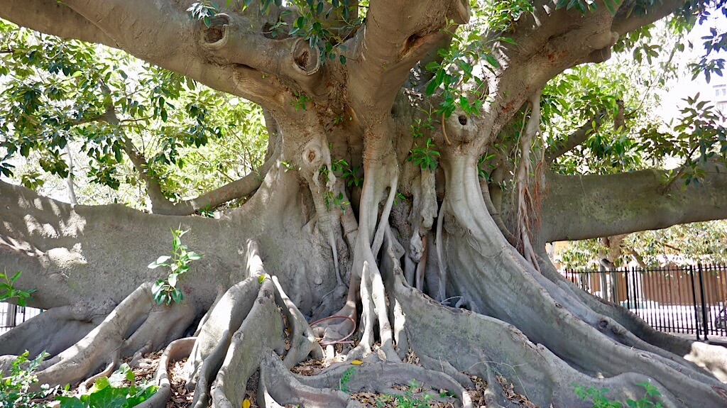 El cementerio de La Recoleta