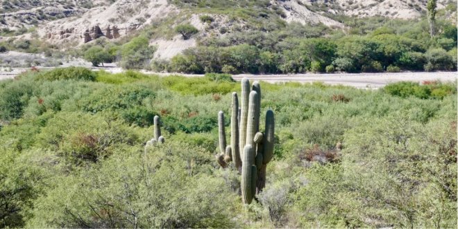 Argentina Ruta 40