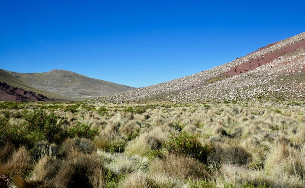 Argentina Puna