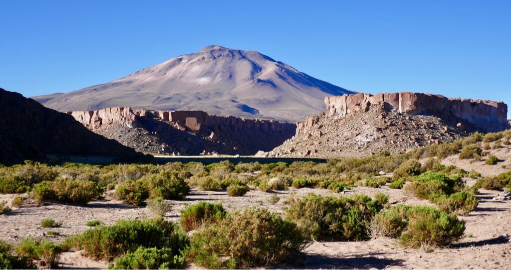 Argentina Puna