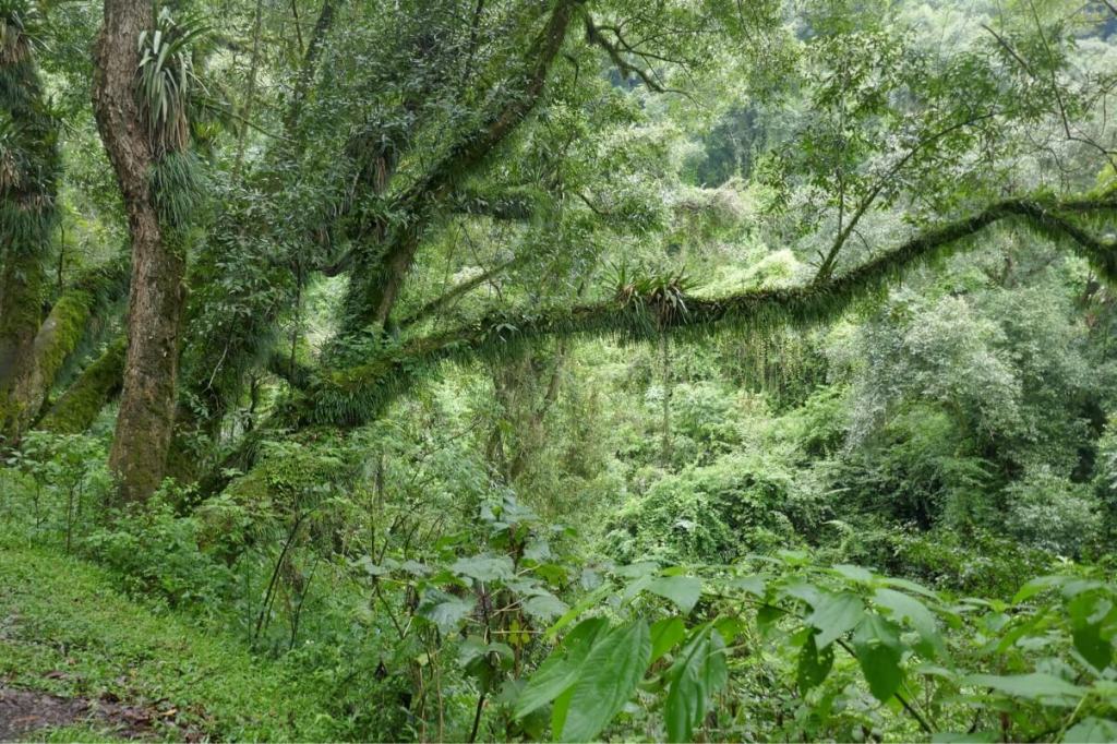 Argentina Salta Purmamarca