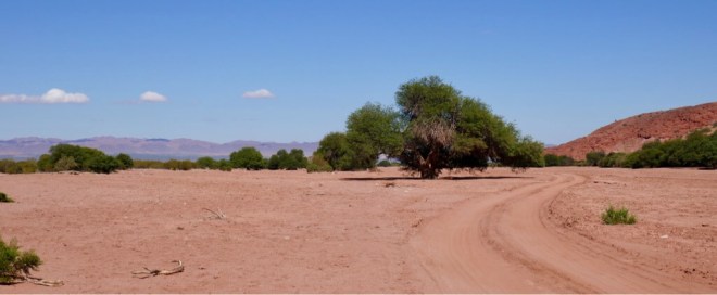 Argentina Talampaya
