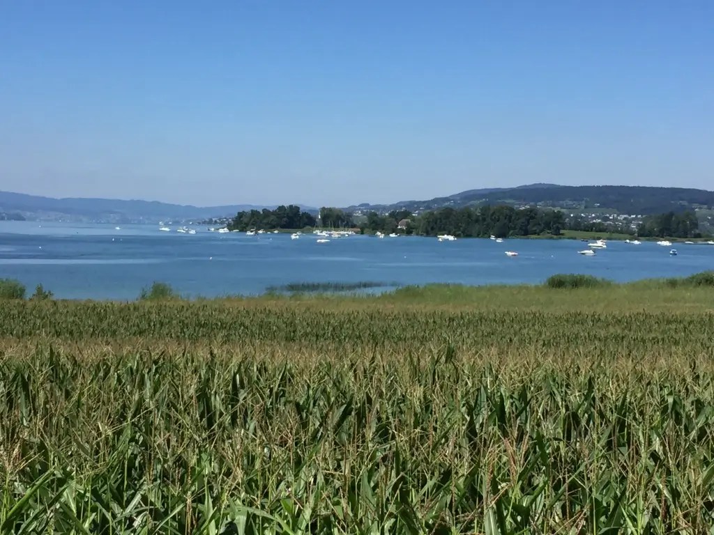 Jacobsweg zwischen Zürich- und Obersee