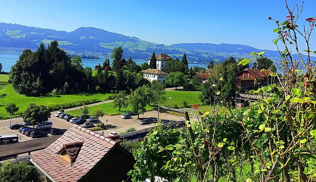 Zürichsee Stäfa Rapperswil