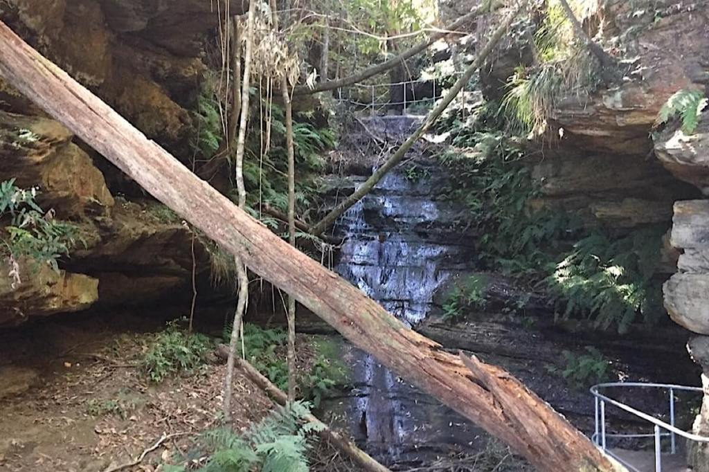 Blue Mountains Wanderung