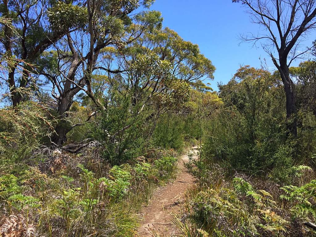 Freycinet Nationalpark 