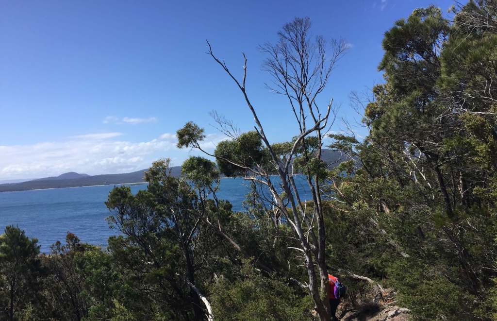 Freycinet Nationalpark