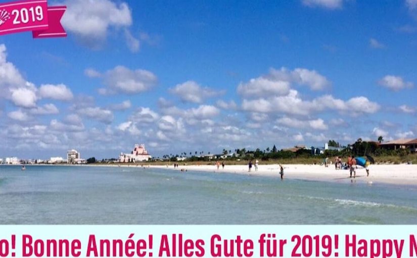 🍀🐷 🎉 🥂2019 🥂🎉 🐷&nbsp;🍀