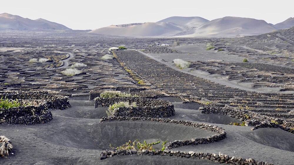 Lanzarote La Geria Weinanbaugebiete