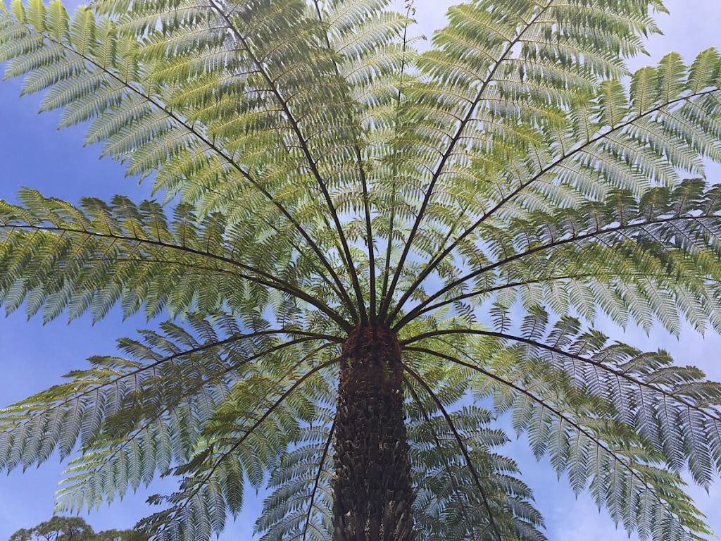 Macquarie Harbour Tasmanien