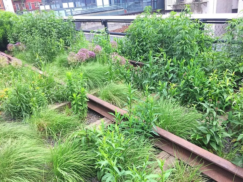 High Line NYC