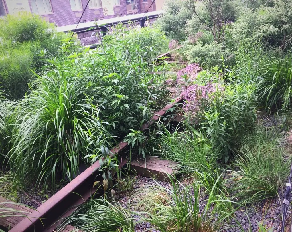 High Line NYC