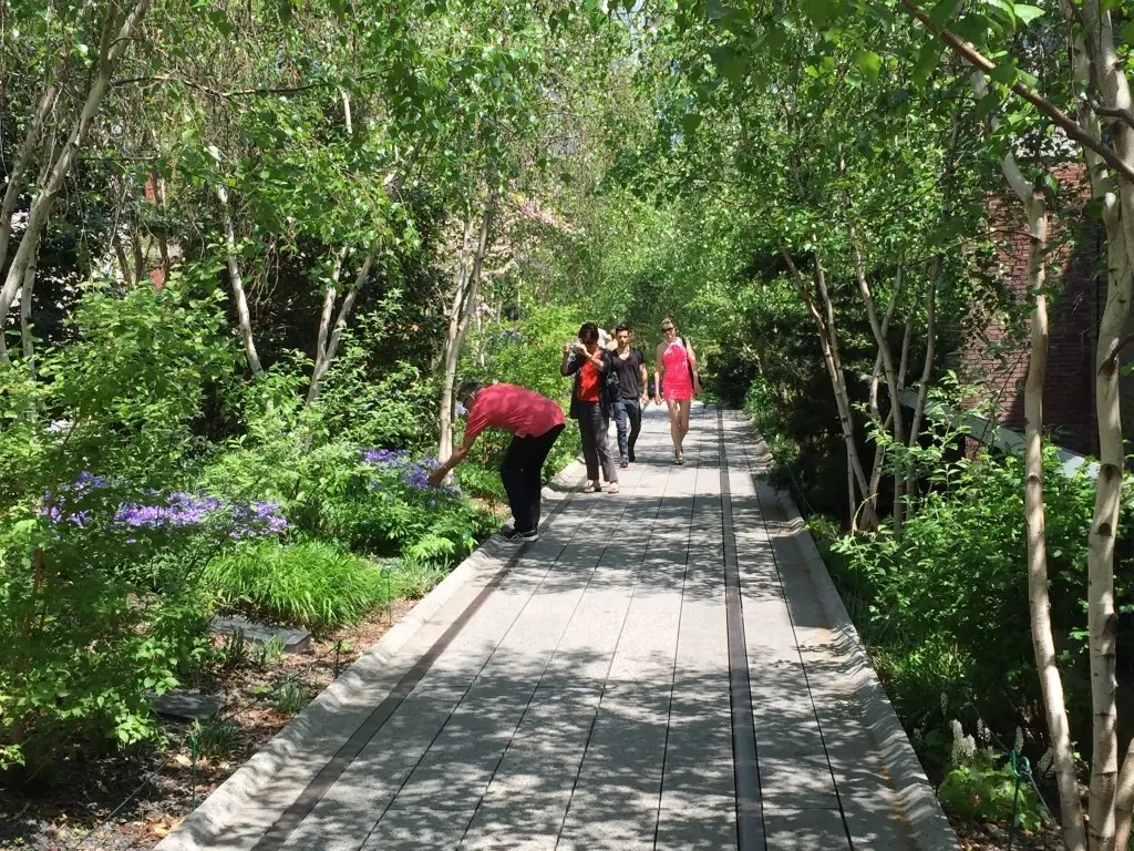 High Line NYC