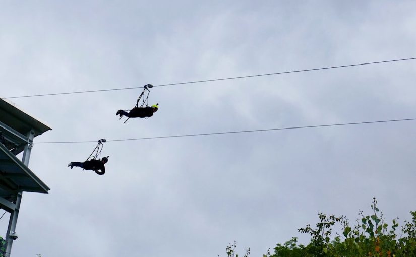 Nur fliegen ist&nbsp;schöner
