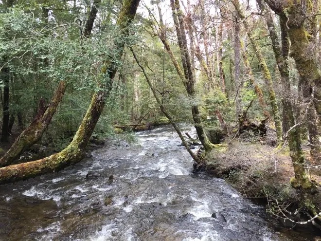 Pumphouse Point Wilderness Retreat 