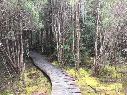 Pumphouse Point Wilderness Retreat 