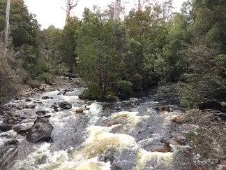 Pumphouse Point Wilderness Retreat 
