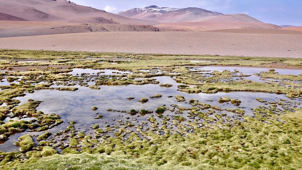 Ruta 27 San Pedro de Atacama