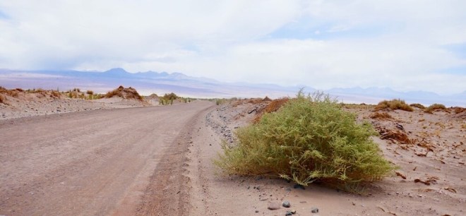 San Pedro de Atacama