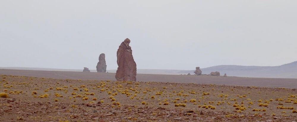 Rita 27 San Pedro de Atacama