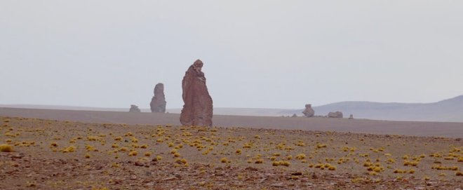 Rita 27 San Pedro de Atacama