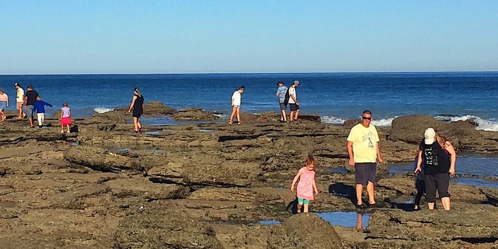 Broome Saurierspuren