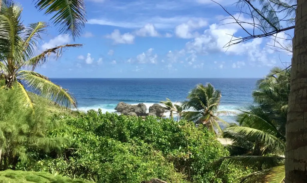 Barbados Bathsheba 