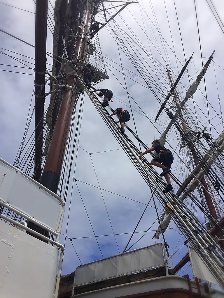 Segel setzen auf der Seacloud