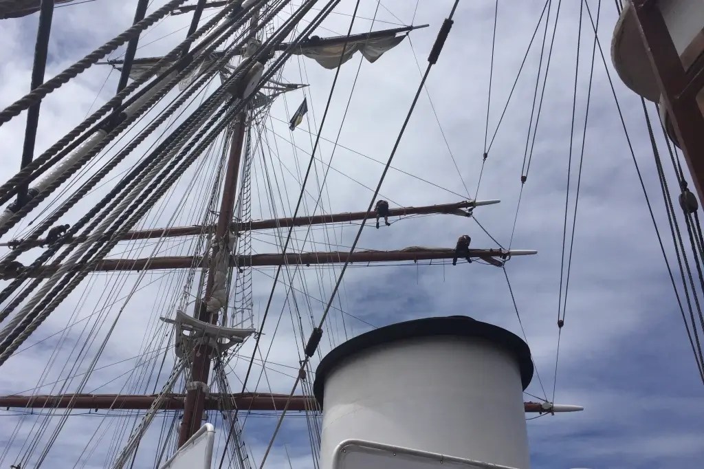 Segel setzen auf der SeaCloud