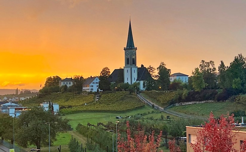 Back to the&nbsp;roots