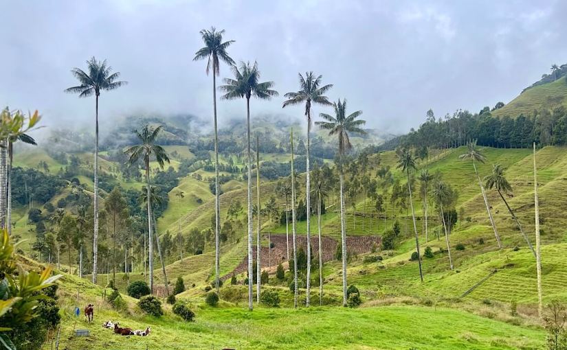 Wieder unterwegs – Salamina und die Valle de la&nbsp;Samaria